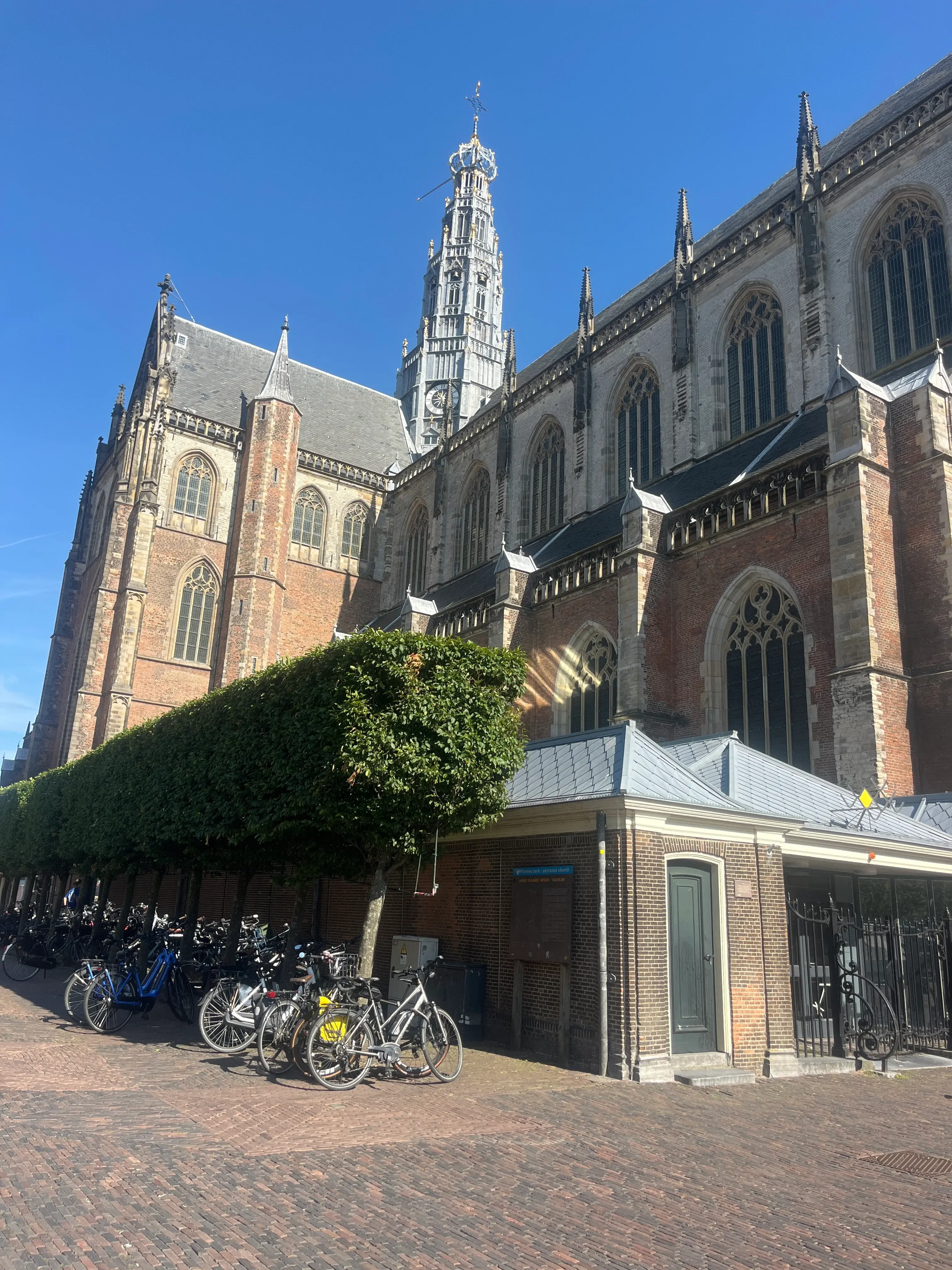 Haarlem in negen frames, foto 8